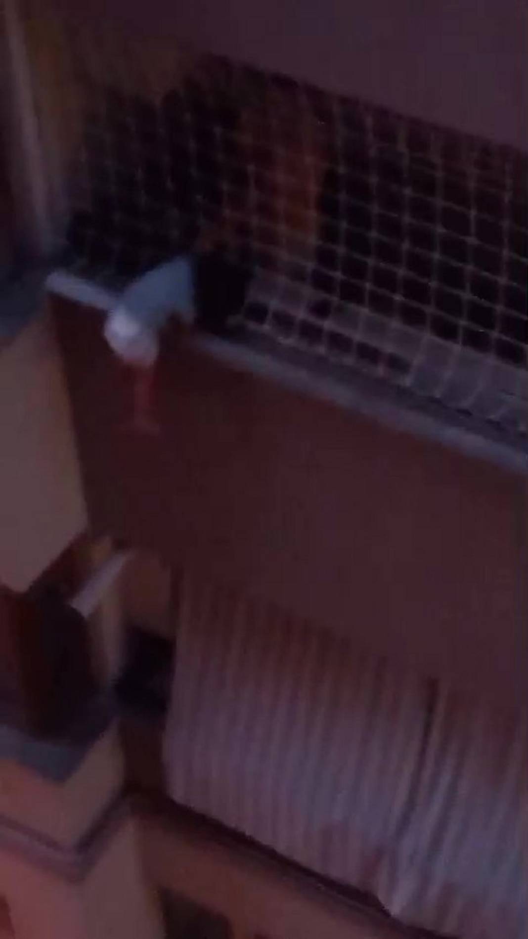 Can pazarı yaşandı! Küçük çocuk balkon filesine asılı kaldı! 5